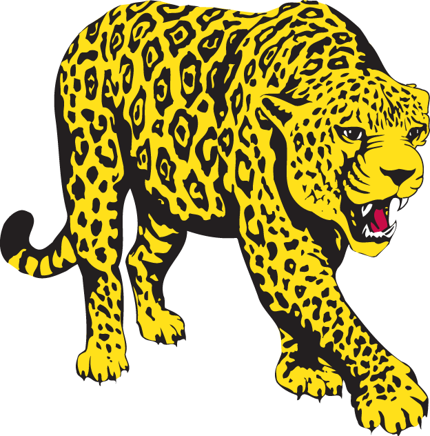 South Alabama Jaguars 1993-2007 Partial Logo t shirts DIY iron ons v3